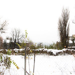 Chaos and harmony @ winter season.