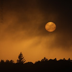 Fiery Sunset over Wilder Ranch, Santa Cruz