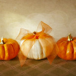 Who's the fairest of them all?