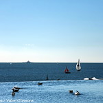 Funda&ccedil;&atilde;o Champalimaud - Lisboa - Portugal