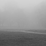 Englischen Garten, Munich
