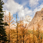 Mountains and Larches