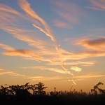 Morning illuminations