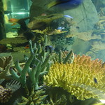 blue planet 2012 013