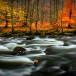 Autumn Flow..