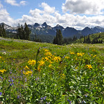 Mount Rainier National Park (on Explore 12-17-2013)