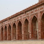 4 Birds, 1 Human and Many Arches