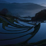 Terraced rice fields #4