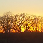 Texas Windmill in the Sunset - HWW!