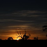Gisborne Sunset
