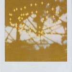 Polaroid_20130907-6-600exp2008