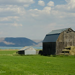 Another Barn