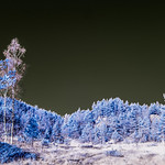 Exhibition in 3 weeks