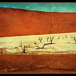 Namibia 2004 Namibia , Sossuvlei, Tonpfanne , 2374