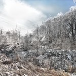 Sun and Ice Pennyrile Forest