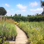 Woottens of Wenhaston