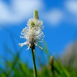 Silhouetted in the sky