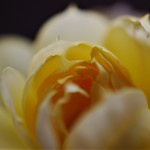 [[ Close Encounters ]]