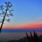 Blue hour at the beach ...