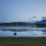 awakenings without sleep