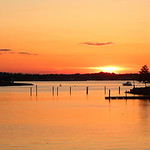 Cinnamon-stick Serenade