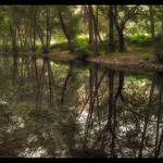 Reflejos en el rio.