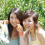 happy cherry picking day