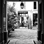 Couper court dans la cour/Cut and go