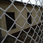 Ice crystal in the fence