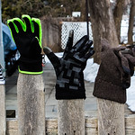 423A2043....Three Little Kittens lost their Mittens??