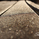 Cold play...first frost