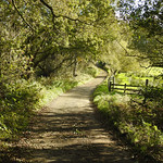 Don't count the days ..... make the days count