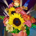 A Special Surprise !