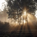 Early morning sunrays