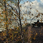 En fantastisk h&ouml;stmorgon