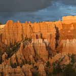 Bryce Canyon Hoodoos