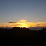 Morning Glory...No Story!!