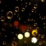 IMG_0015 Regentropfen / Raindrops