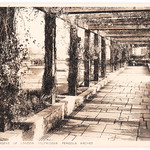 London - Selfridges Roof Pergola. And Facts About Selfridges.