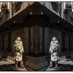 DSC_7979, A la recontre de l'automne et de l'hiver..Rue de Fourcy,Paris, 4&egrave;me