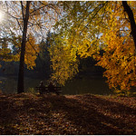 Contemplating Autumn