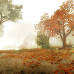 Last days before winter