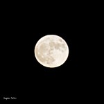 My first moon taken from my home, in Madrid.