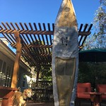 Lucy is ready for today's adventure! Newf Surf (www.newfsurfboardnet.com) Surf/SUP/Race bags are on sale $33.00, 3 designs, colors & sizes 5'4"-14'0". Not a sock nor a fully padded board bag. A patent pending super lightweight, ventilated, padded bag with