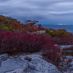 Red on the Gray Rocks