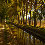 Ya se acerca el oto&ntilde;o