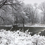 Almost Black and White