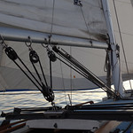 When I open my wings...