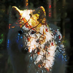 The Wolf in the Wood