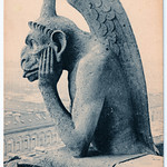 Paris - Notre-Dame - B&ecirc;te d'Amortissement Looking Fed Up. And The Fire.